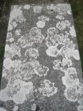 image of grave number 900443
